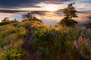 Pacific Northwest